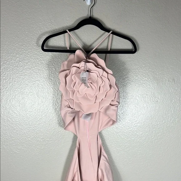 Lovers + Friends Artemis Gown in Light Pink - Picture 3 of 9